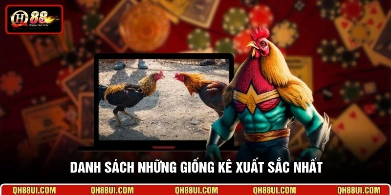 Danh sách những giống kê xuất sắc nhất 